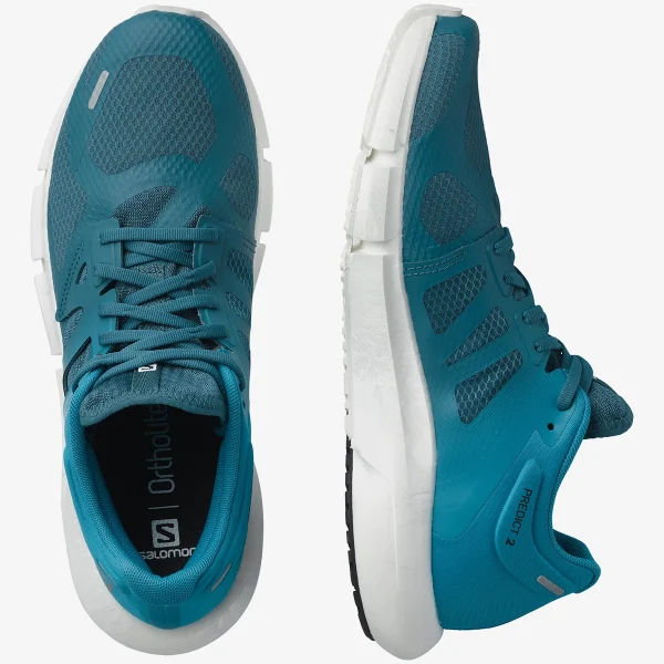 SALOMON - PREDICT 2 – L41565300 – mallard-blue-barrier-reef-black – 6