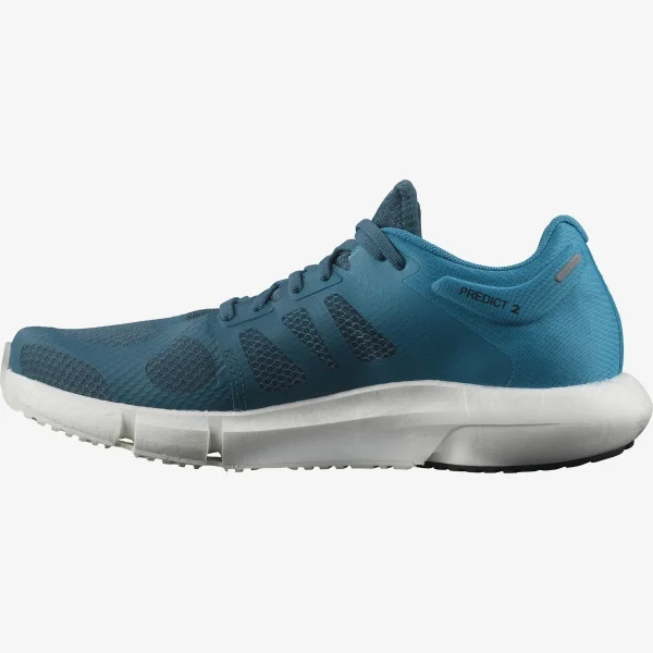 SALOMON - PREDICT 2 – L41565300 – mallard-blue-barrier-reef-black – 5