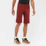 SALOMON - WAYFARER – LC1718600 – cabernet – 1