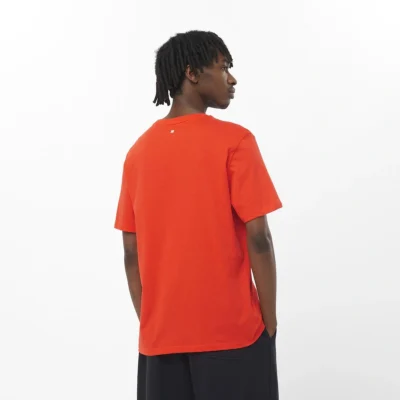 SALOMON LOGO PERFORMANCE